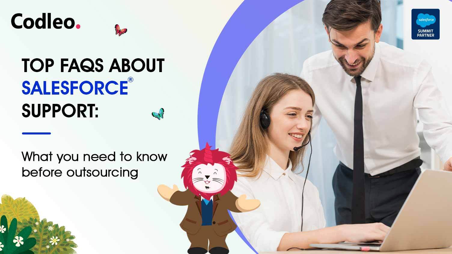 Salesforce Support