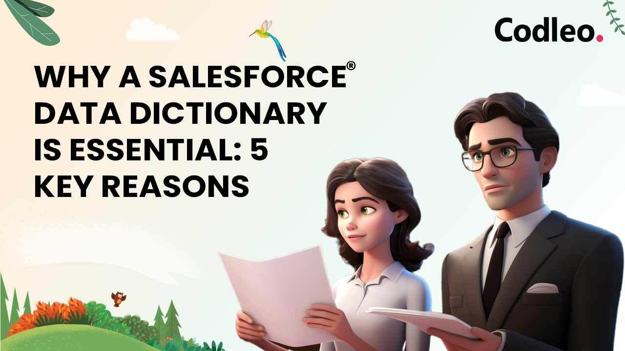 WHY A SALESFORCE DATA DICTIONARY IS ESSENTIAL: 5 KEY REASONS