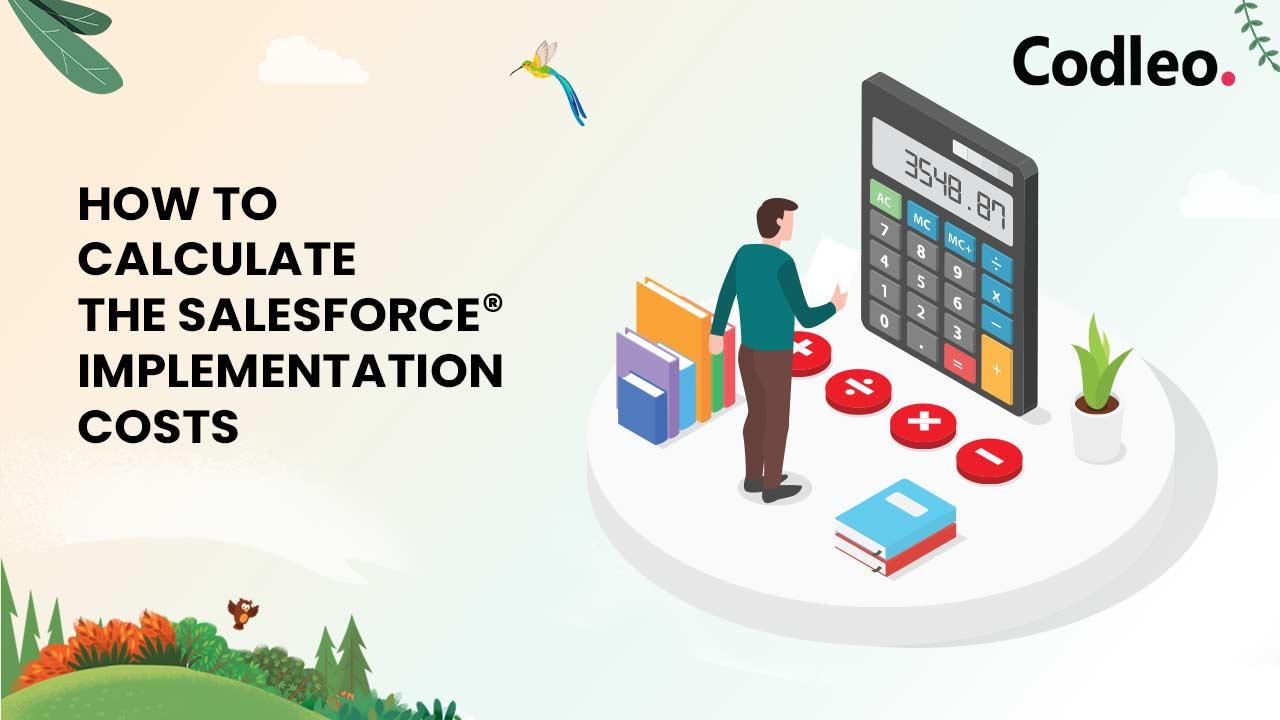 HOW TO CALCULATE THE SALESFORCE IMPLEMENTATION COSTS?
