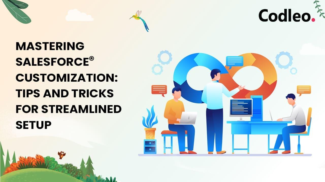 Salesforce Integration Services