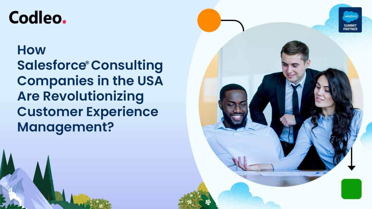 Salesforce Consulting Service