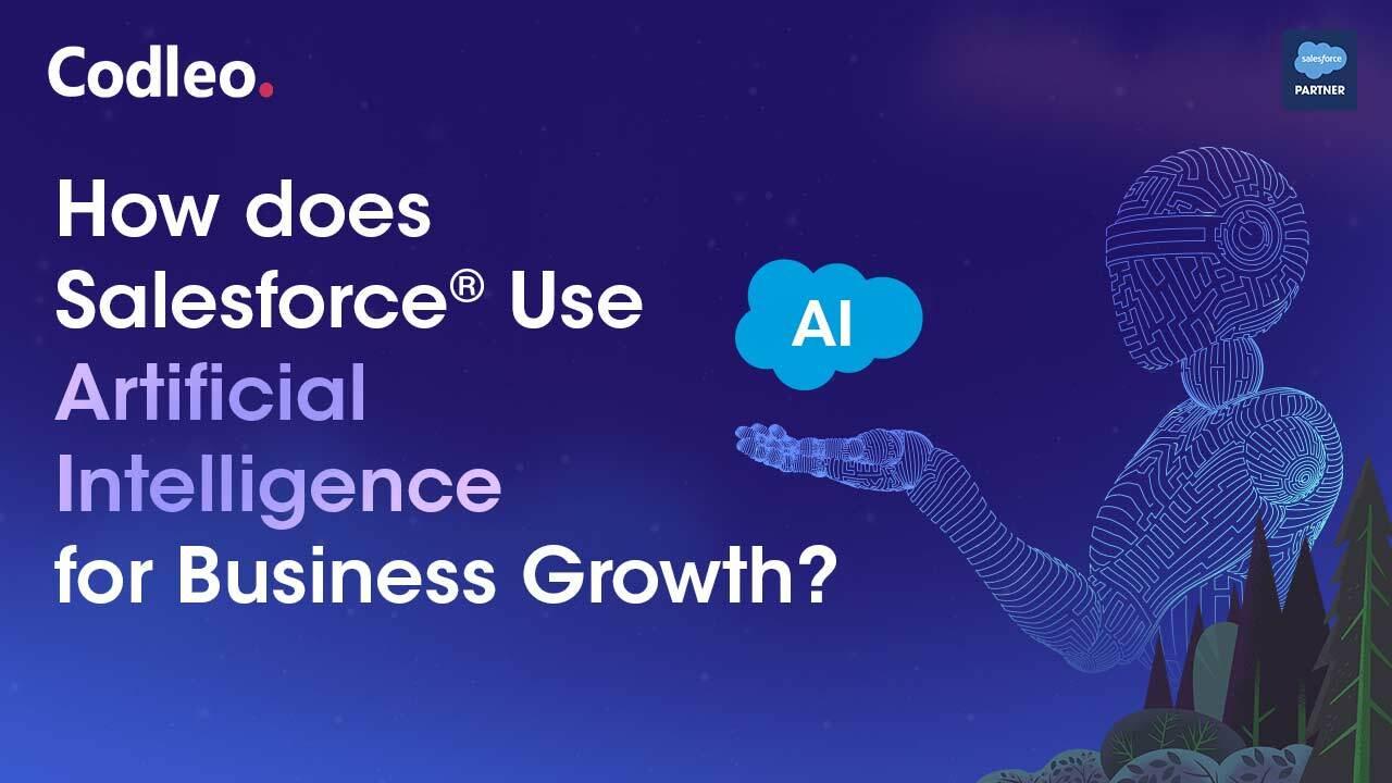 Salesforce partner