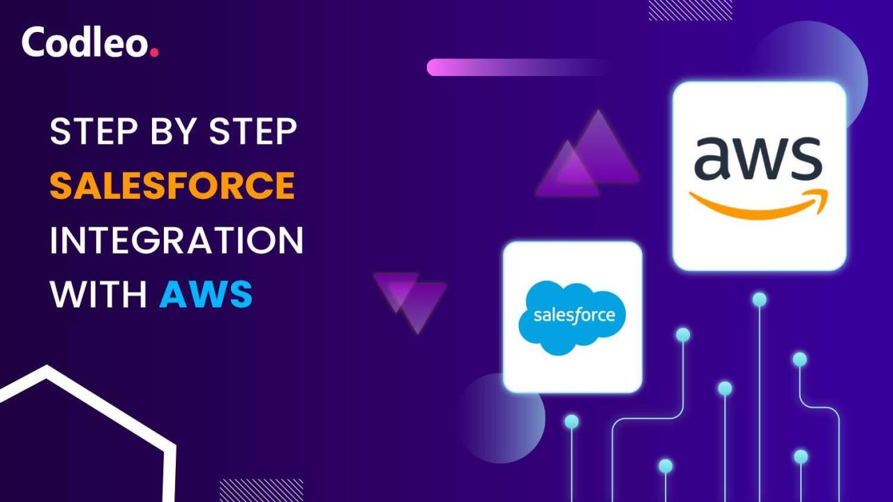 Salesforce Integration Services