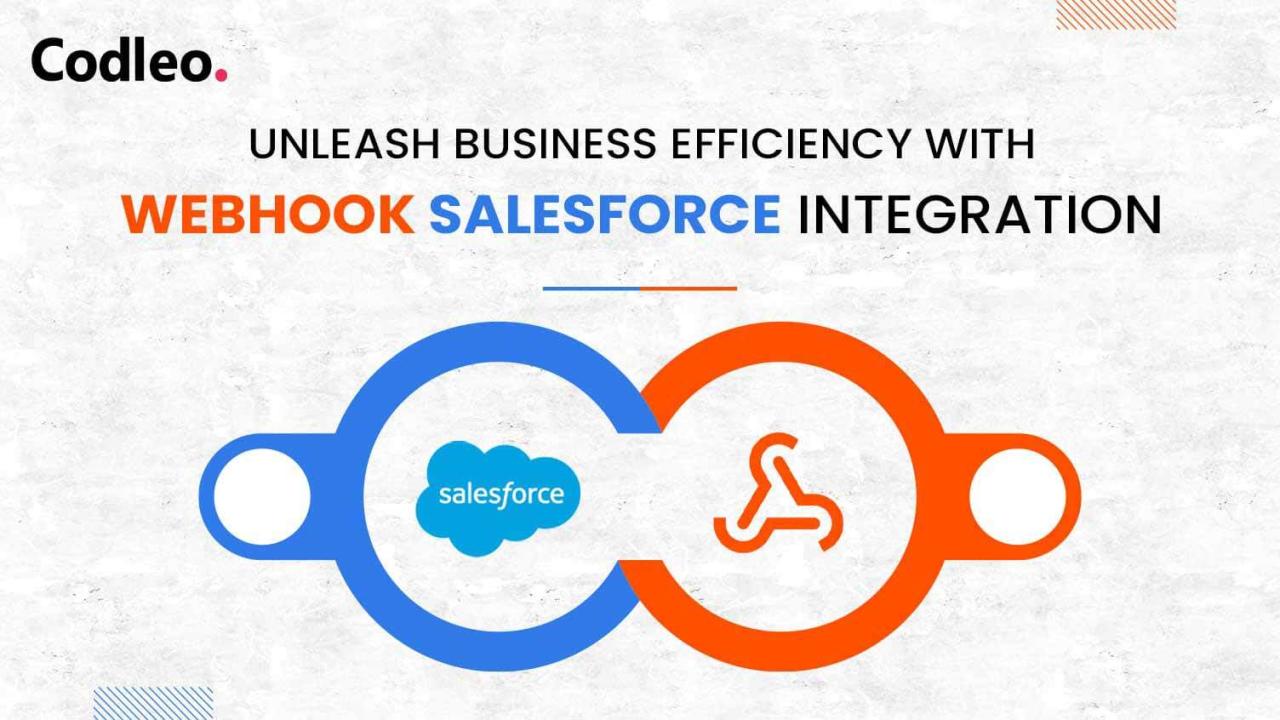 Salesforce Integration Services