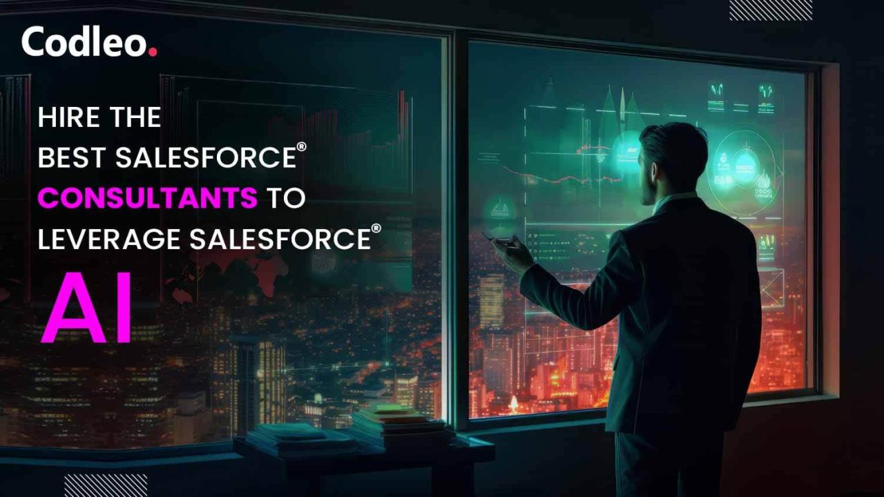 Salesforce Consulting Service