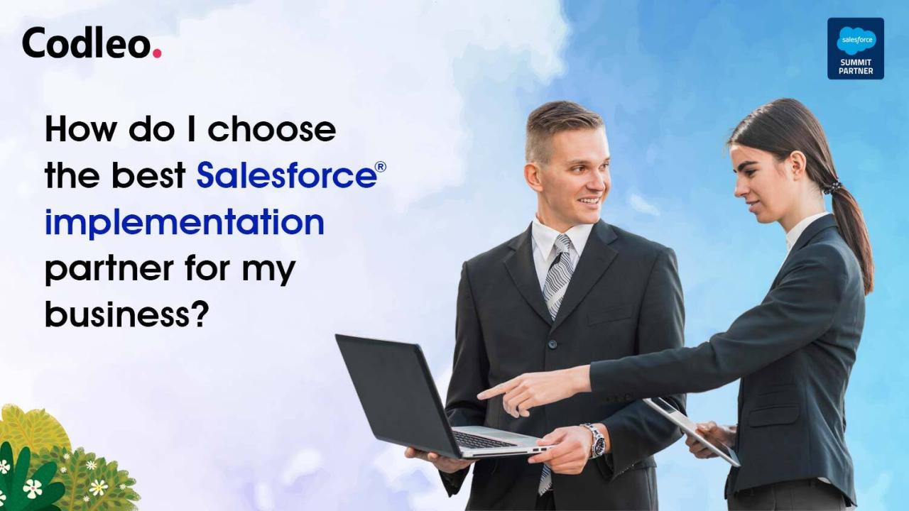 Salesforce Consulting Service