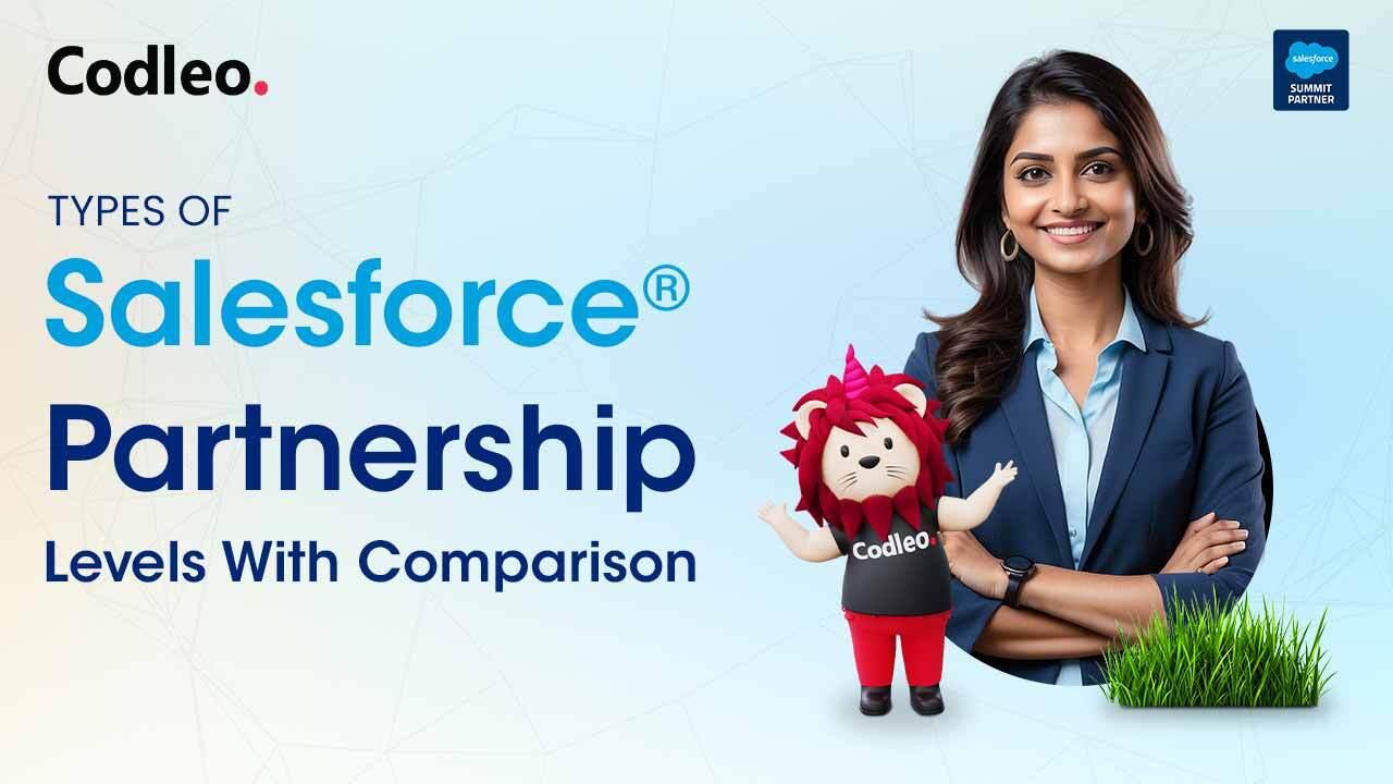 Salesforce Partner