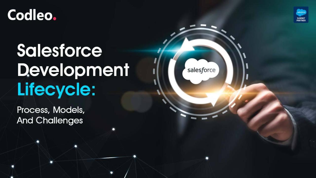 Salesforce Development Services