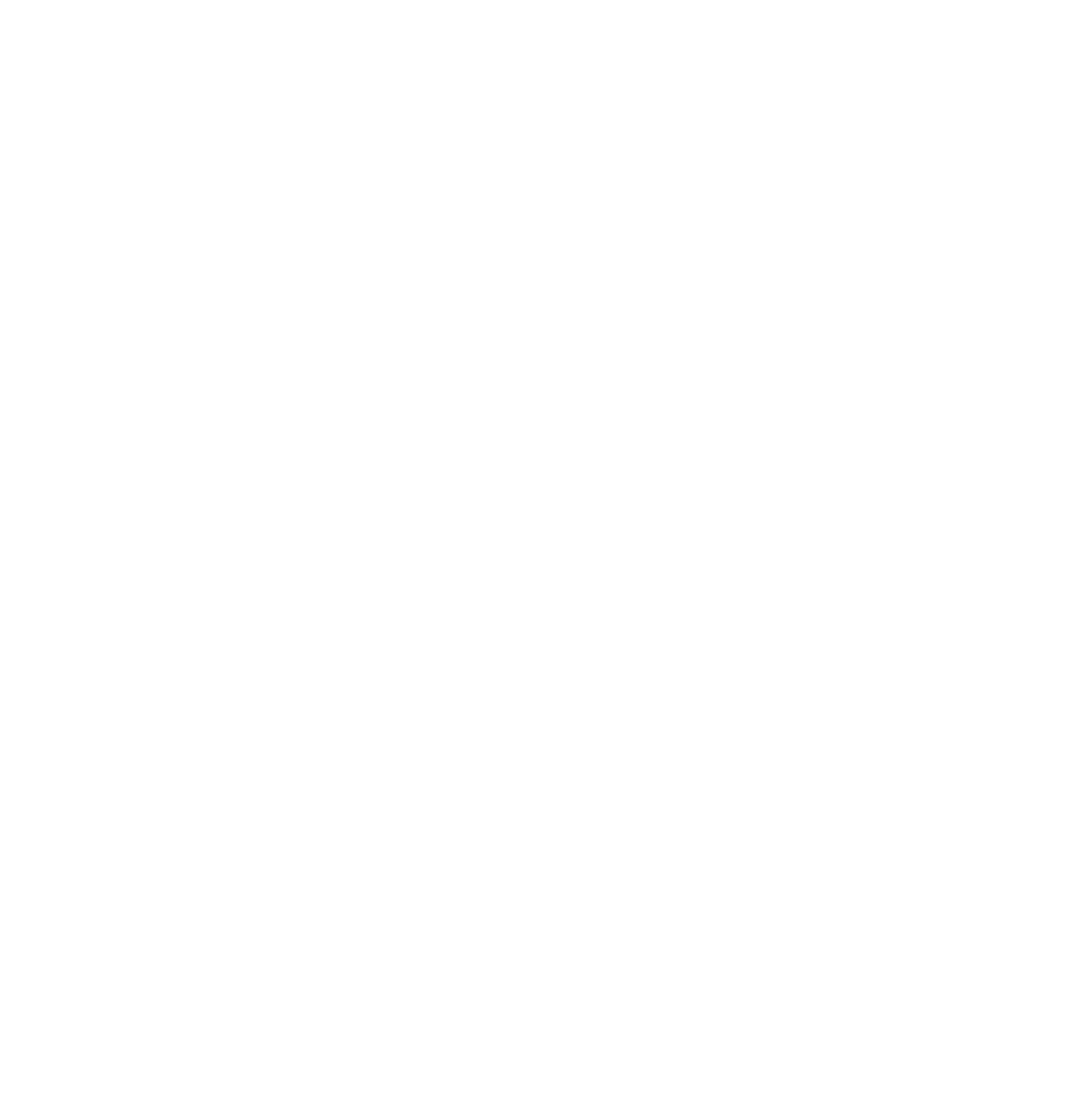 Summit partner