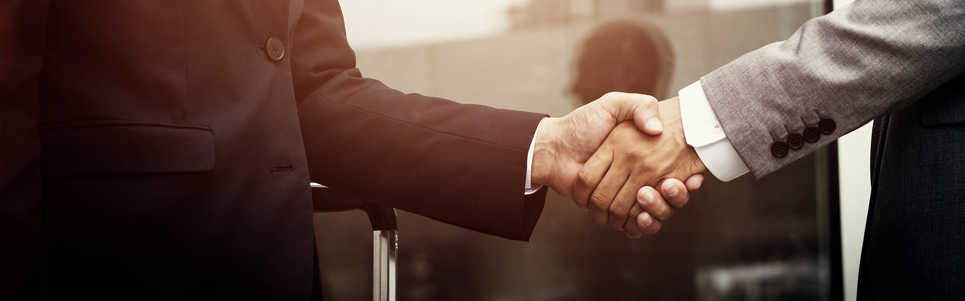 Singhania & Partners Website